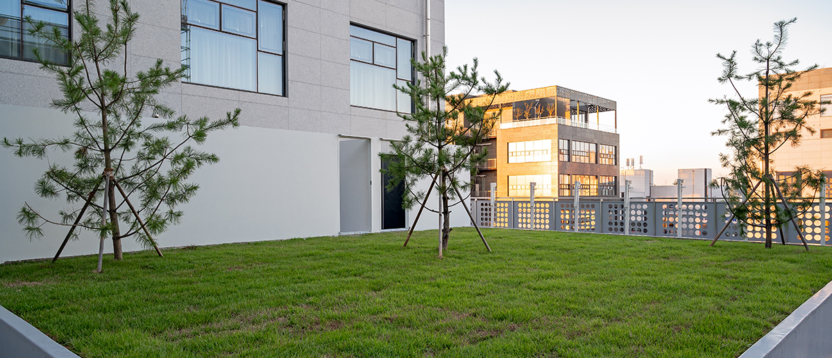 Superior Terrace